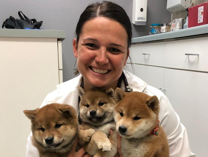 Dog Vet Care in Green Bay Cat Vet Care in Green Bay